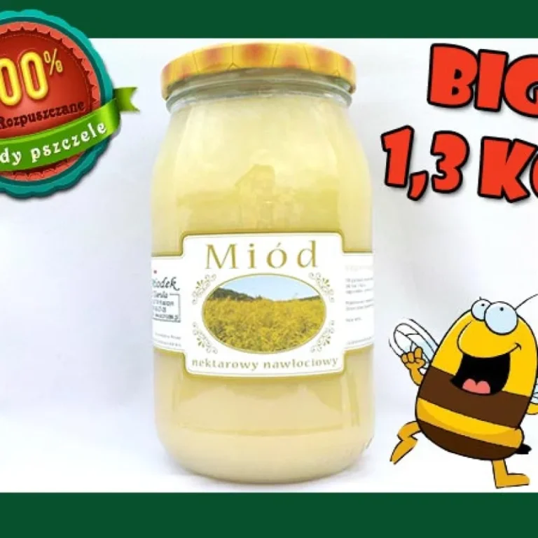 Miód nawłociowy – jesienny smak i jasny miód